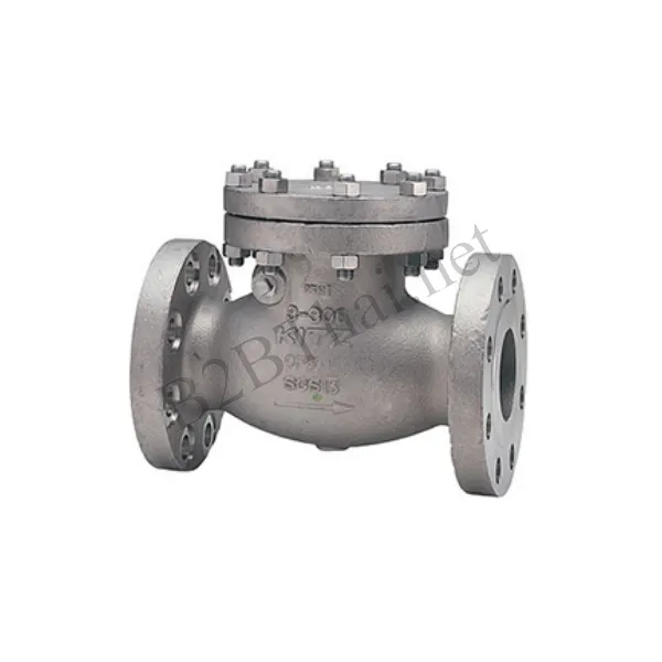 Check valve 8″ 300P 300UOA Kitz