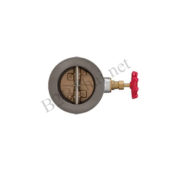 Wafer check valve 2-1/2″ 10K 10FWZ Kitz
