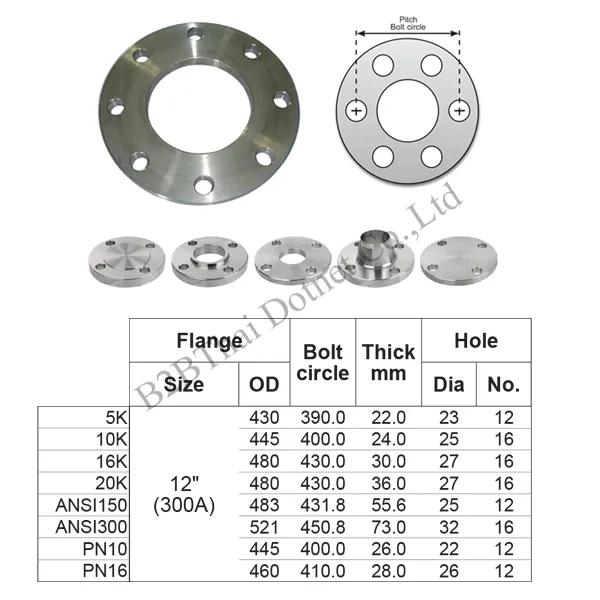 หน้าแปลน 12 นิ้ว ANSI150 300A