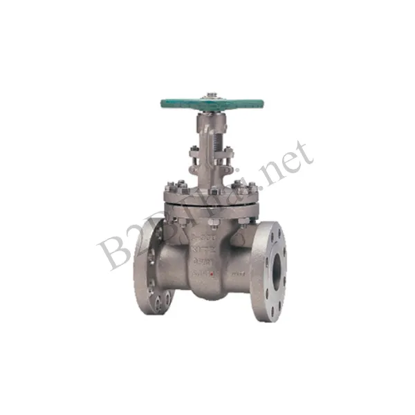 Gate Valve 3/4″ 300P 300UMAM Kitz