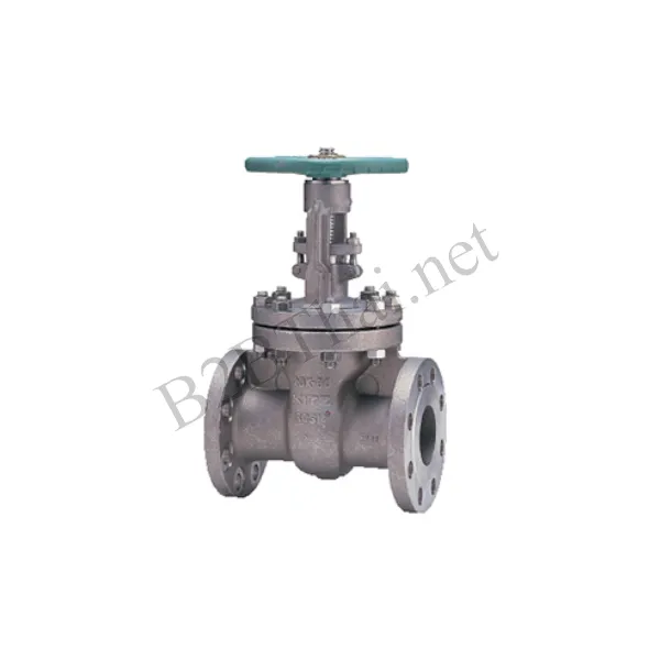 Gate Valve 3/4″ 20K 20UMAM Kitz