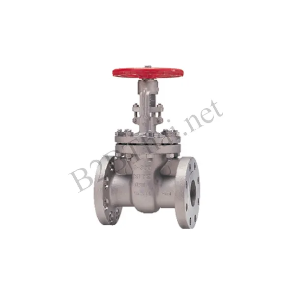 Gate Valve 1″ 300P 300UMA Kitz