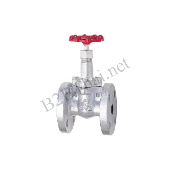 Gate Valve 1-1/4″ 10K 10SMBF Kitz