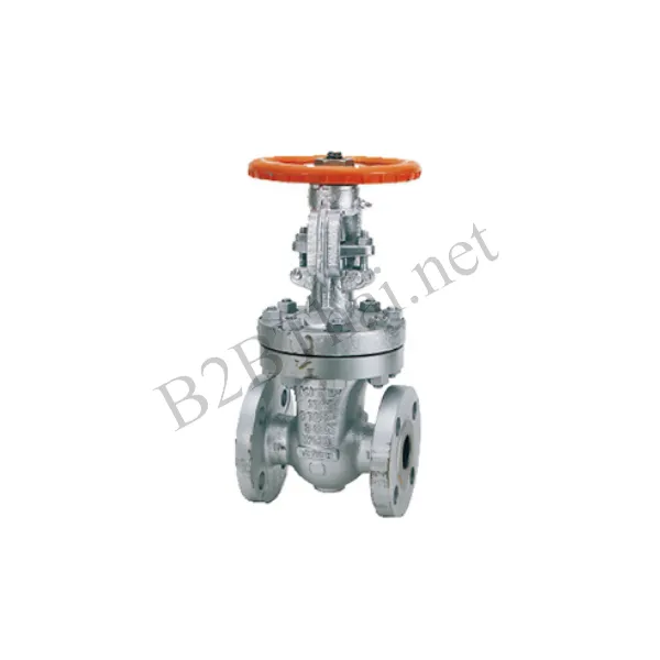 Gate Valve 2″ 300P 300SCLS Kitz