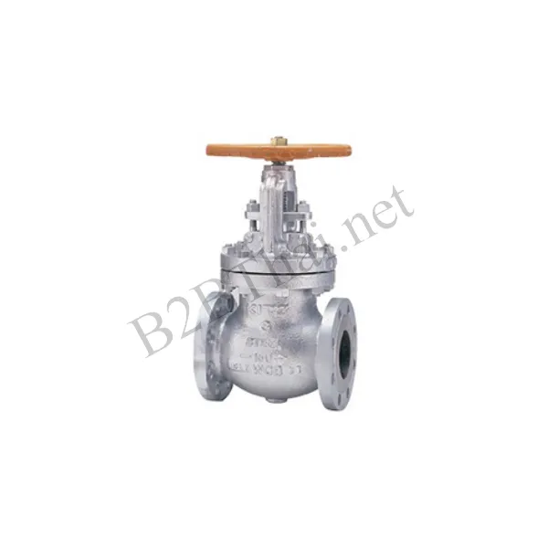 Globe Valve 2″ 300P 300SCJS Kitz